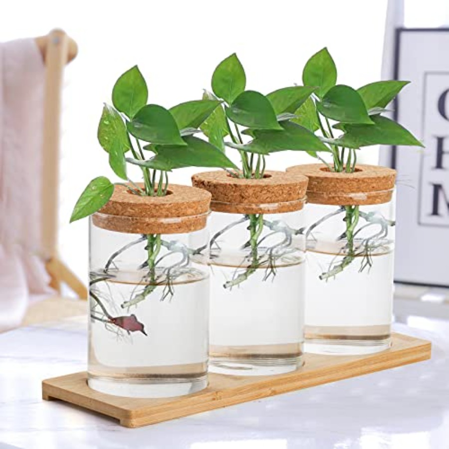 3 Pcs Plant Terrarium Propagat – обзор и цена Propagation Station Vase