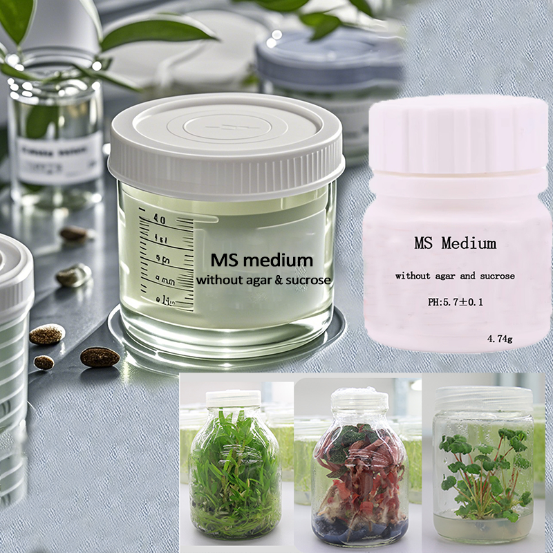 MS medium Without Agar Or Sucr – обзор и цена Agar Tissue Culture