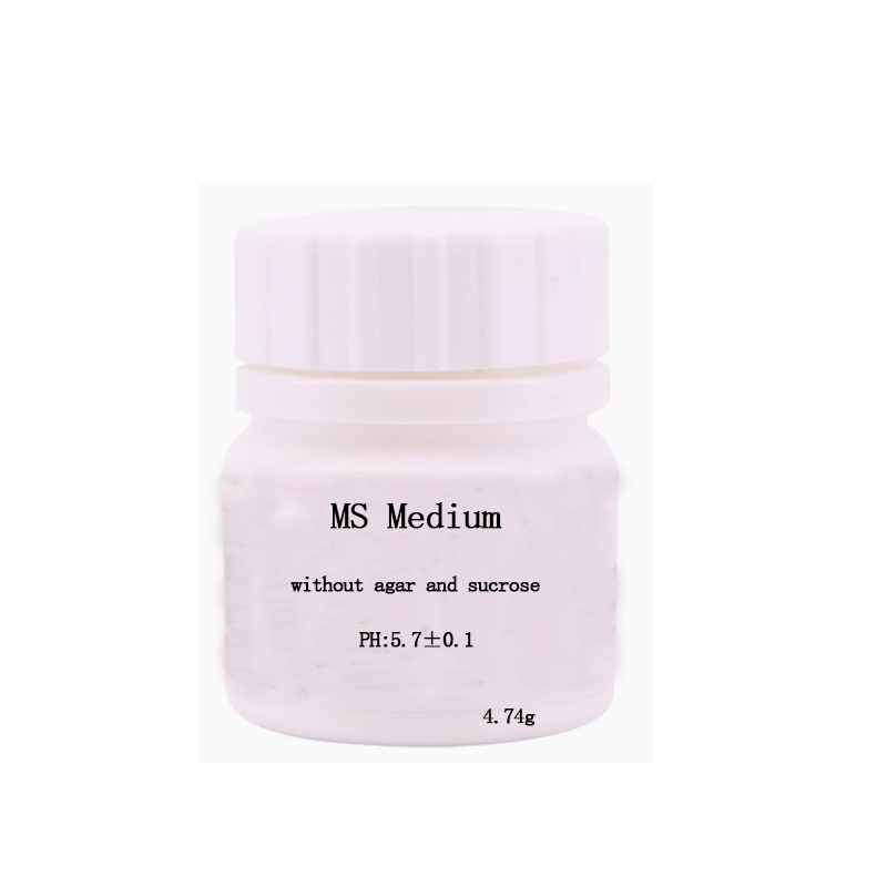 MS medium Without Agar Or Sucr – обзор и цена Agar Tissue Culture