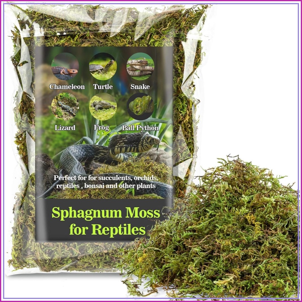 Sphagnum Moss for Reptiles - G – обзор и цена Sphagnum Moss Dry