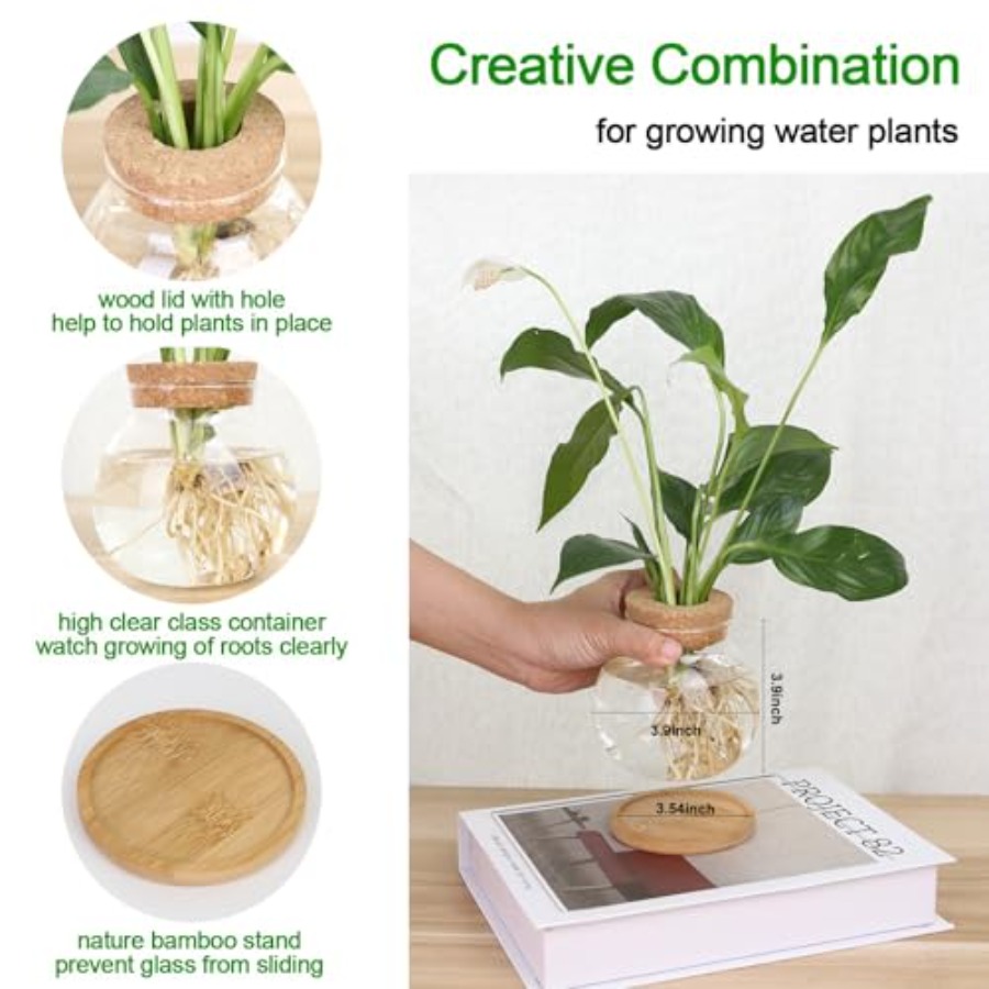 Plant Propagation Station, Hyd – обзор и цена Propagation Station Vase