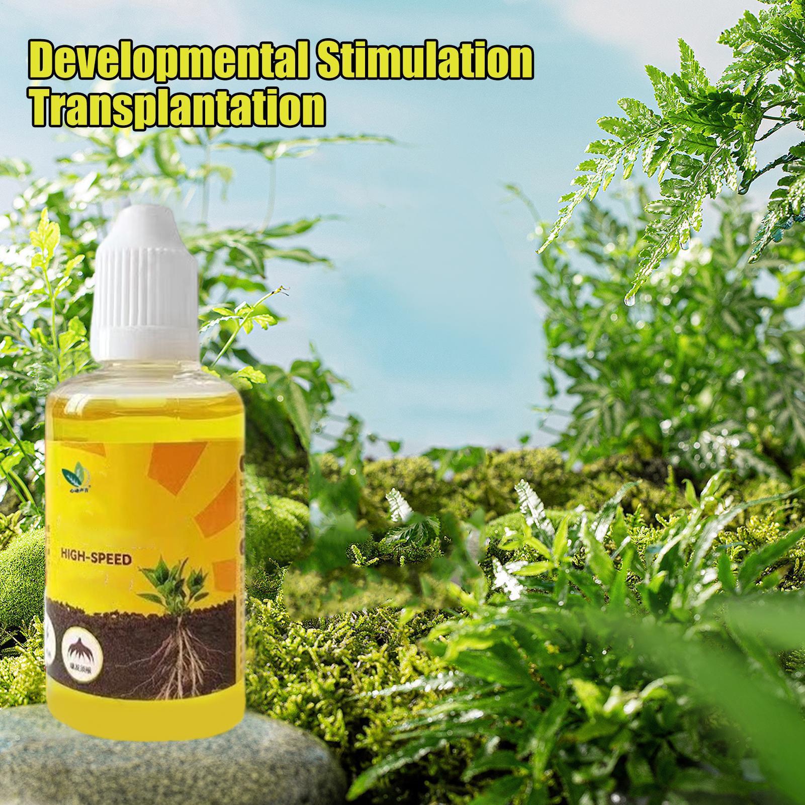 50ml Plant Rooting Stimulator  – обзор и цена Root Stimulator Liquid