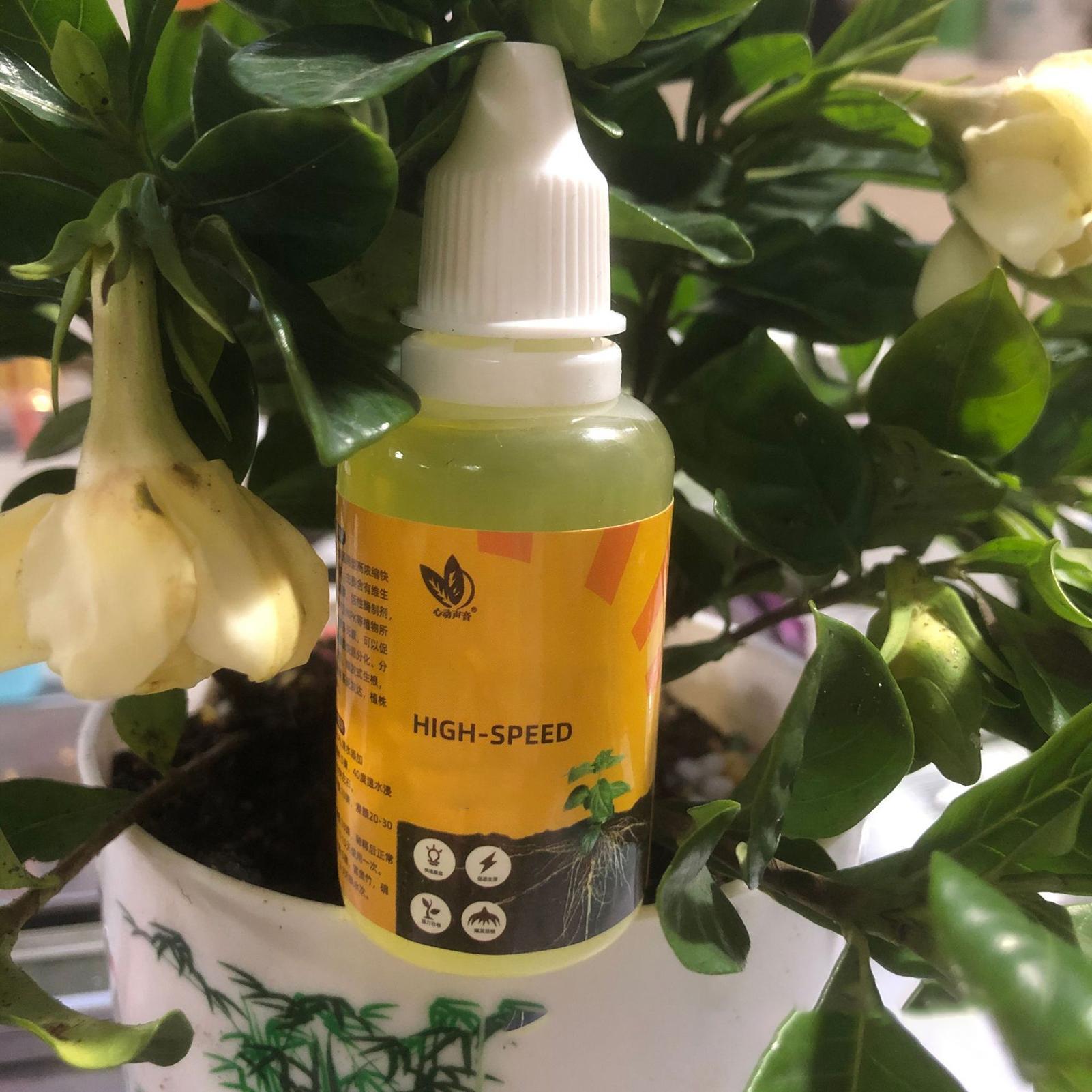 50ml Plant Rooting Stimulator  – обзор и цена Root Stimulator Liquid
