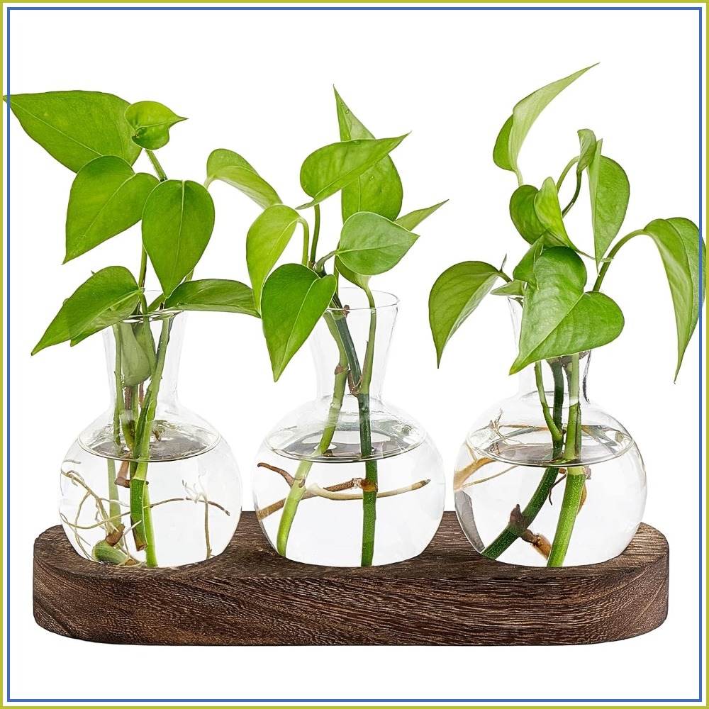 Desktop Plant Propagation Stat – обзор и цена Propagation Station Vase