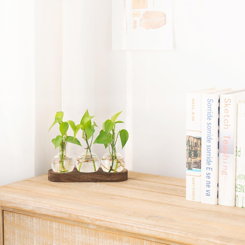 Desktop Plant Propagation Stat – обзор и цена Propagation Station Vase