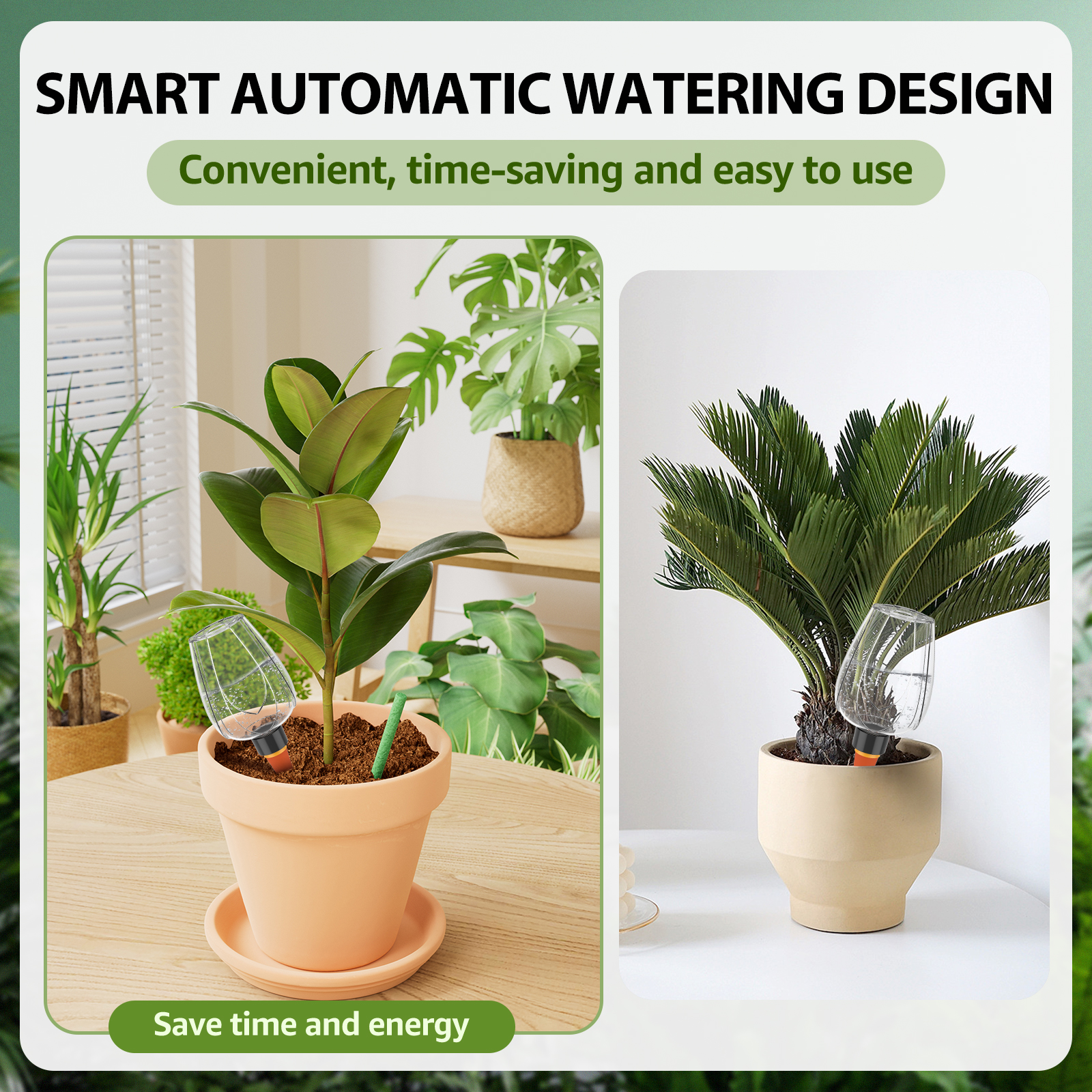 4Pcs Plant Watering Globe Clea – обзор и цена Self Watering Insert