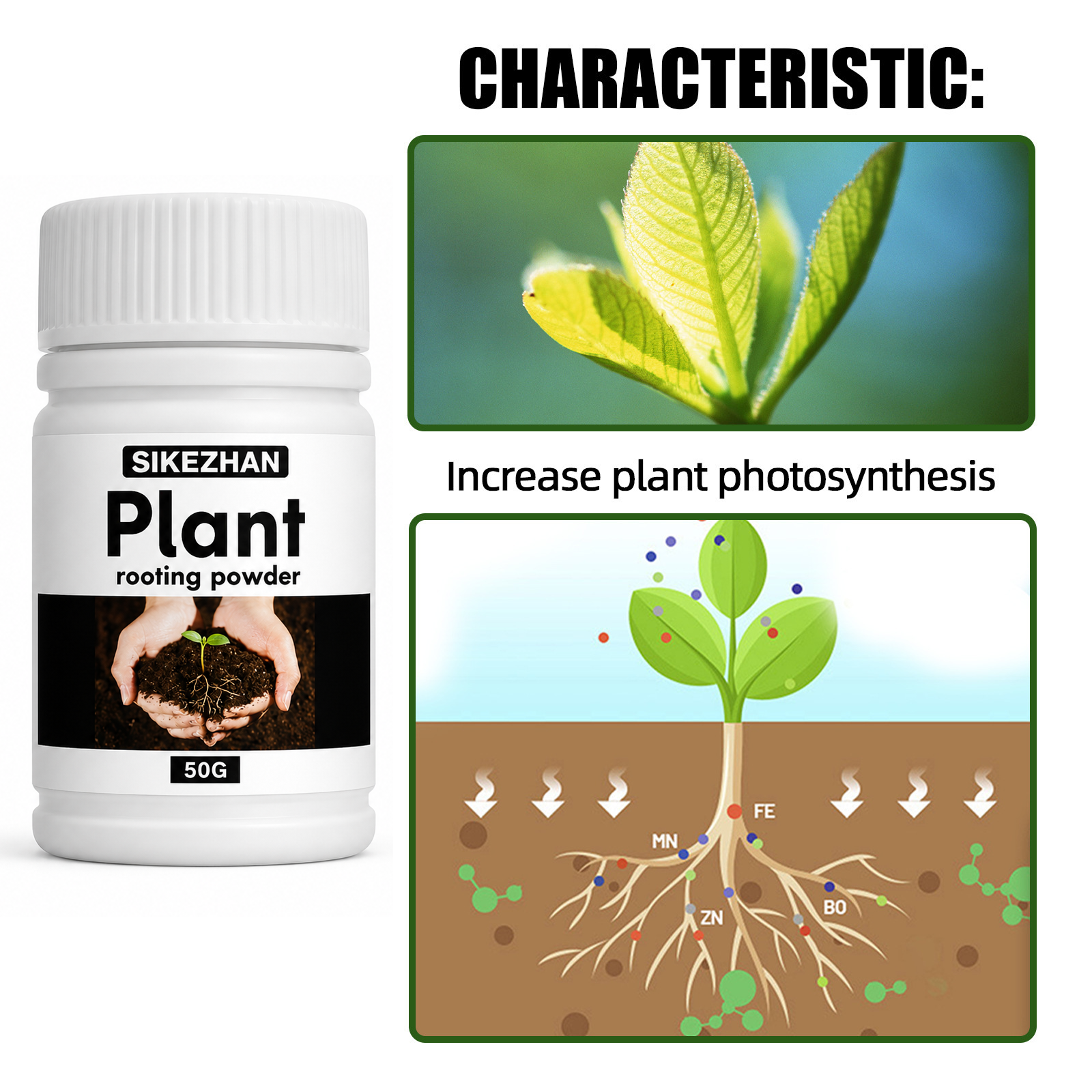 50g Rapid Rooting Powder Plant – обзор и цена Rooting Hormone Powder
