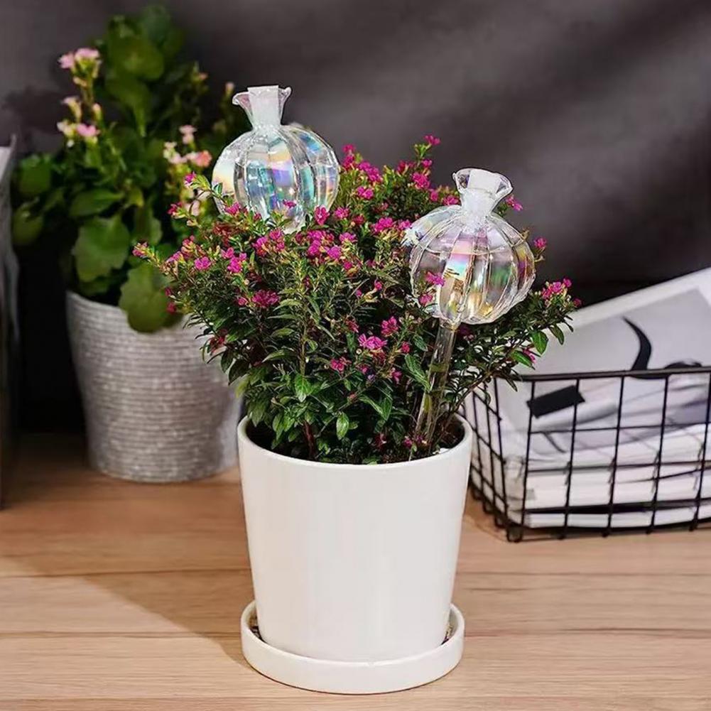 24cm Cactus Self Watering Bulb – обзор и цена Self Watering Insert