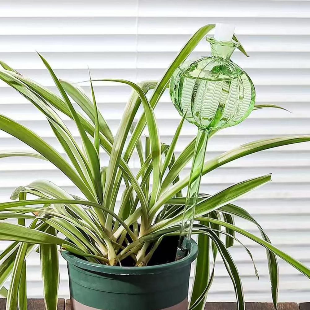 24cm Cactus Self Watering Bulb – обзор и цена Self Watering Insert