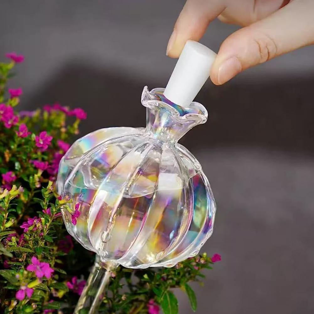 24cm Cactus Self Watering Bulb – обзор и цена Self Watering Insert