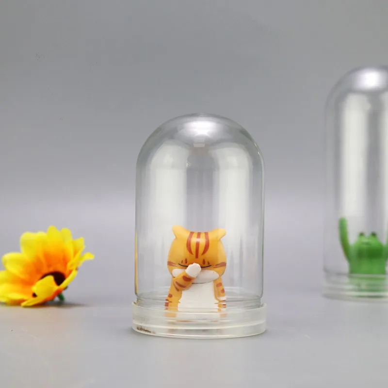 Clear Plastic Dome Display Cas – обзор и цена Plastic Dome Clear