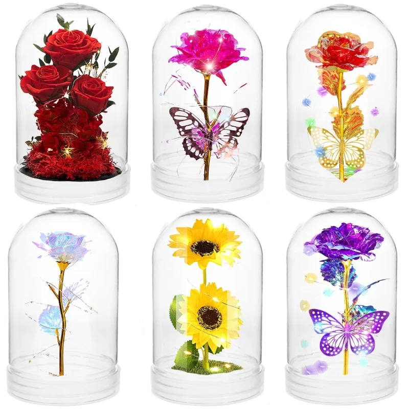 Clear Plastic Dome Display Cas – обзор и цена Plastic Dome Clear