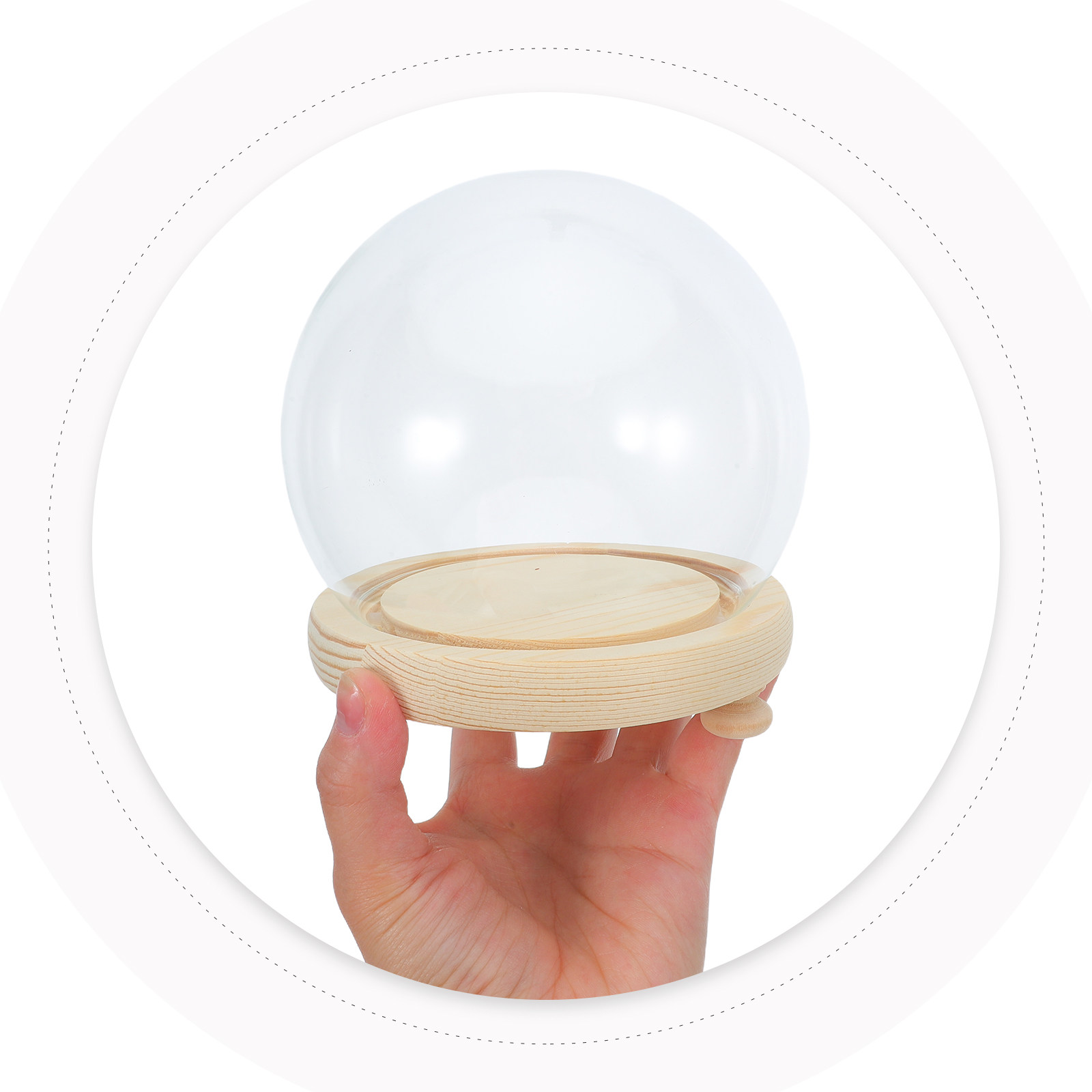 Preserved Flower Glass Dome El – обзор и цена Plastic Dome Clear