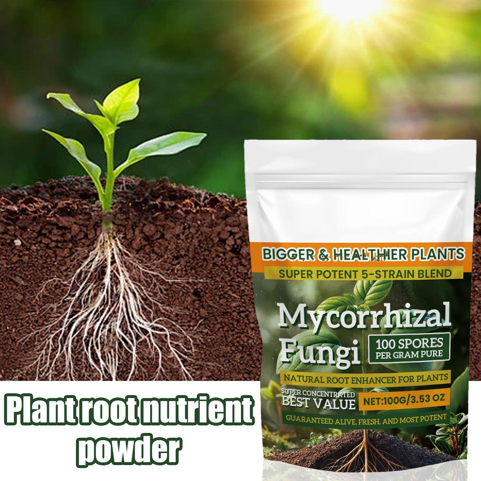Plant Growth Enhancer Powder 1 – обзор и цена Rooting Hormone Powder