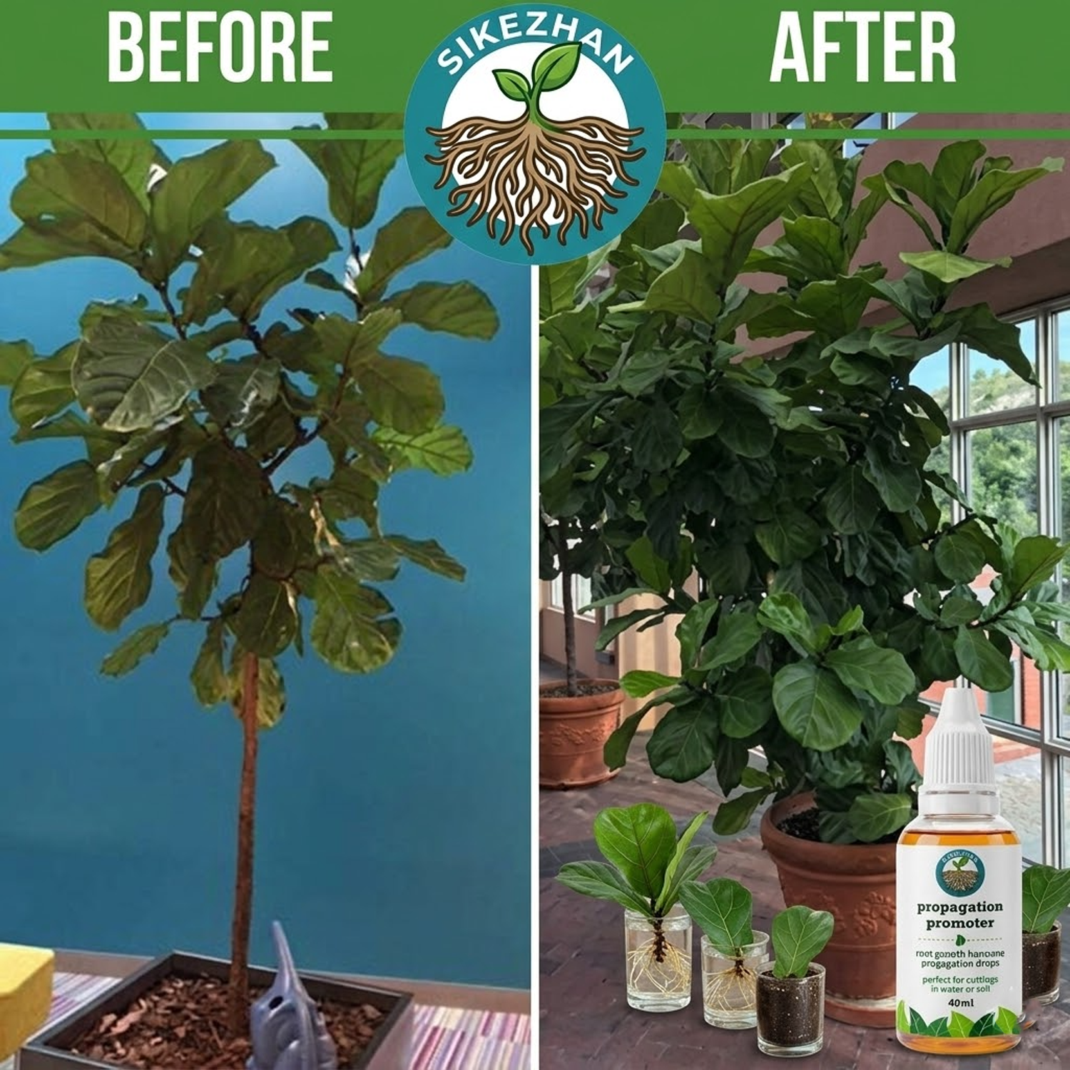 40ml Fast Plant Rooting Liquid – обзор и цена Root Stimulator Liquid