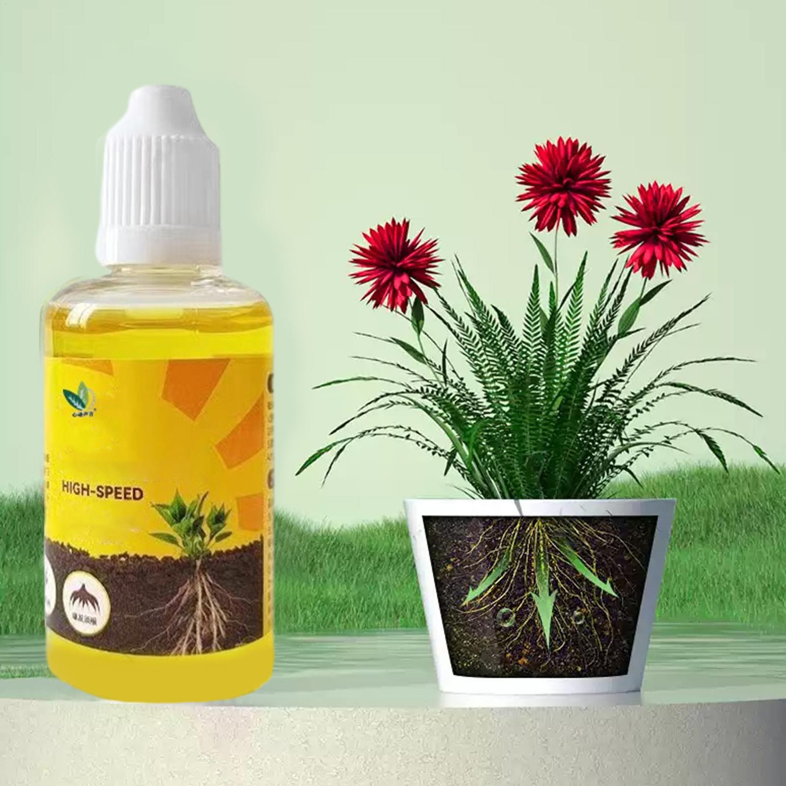 Plant Rapid Rooting Solution 5 – обзор и цена Root Stimulator Liquid