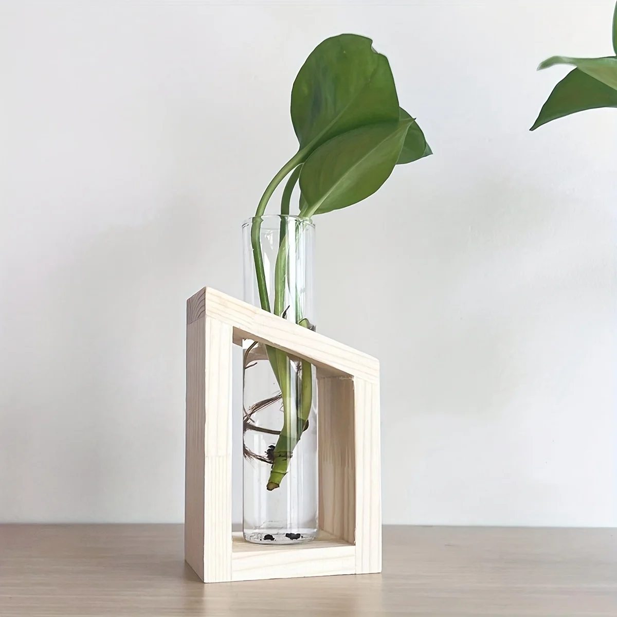 Test Tube Glass Vase Plant Pro – обзор и цена Propagation Station Vase