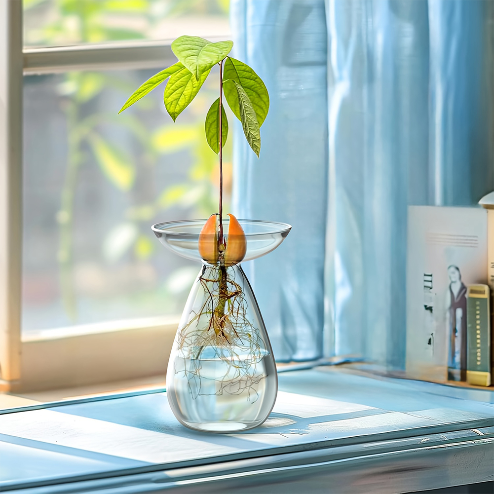 Avocado Seed Starter Vase Tran – обзор и цена Propagation Station Vase