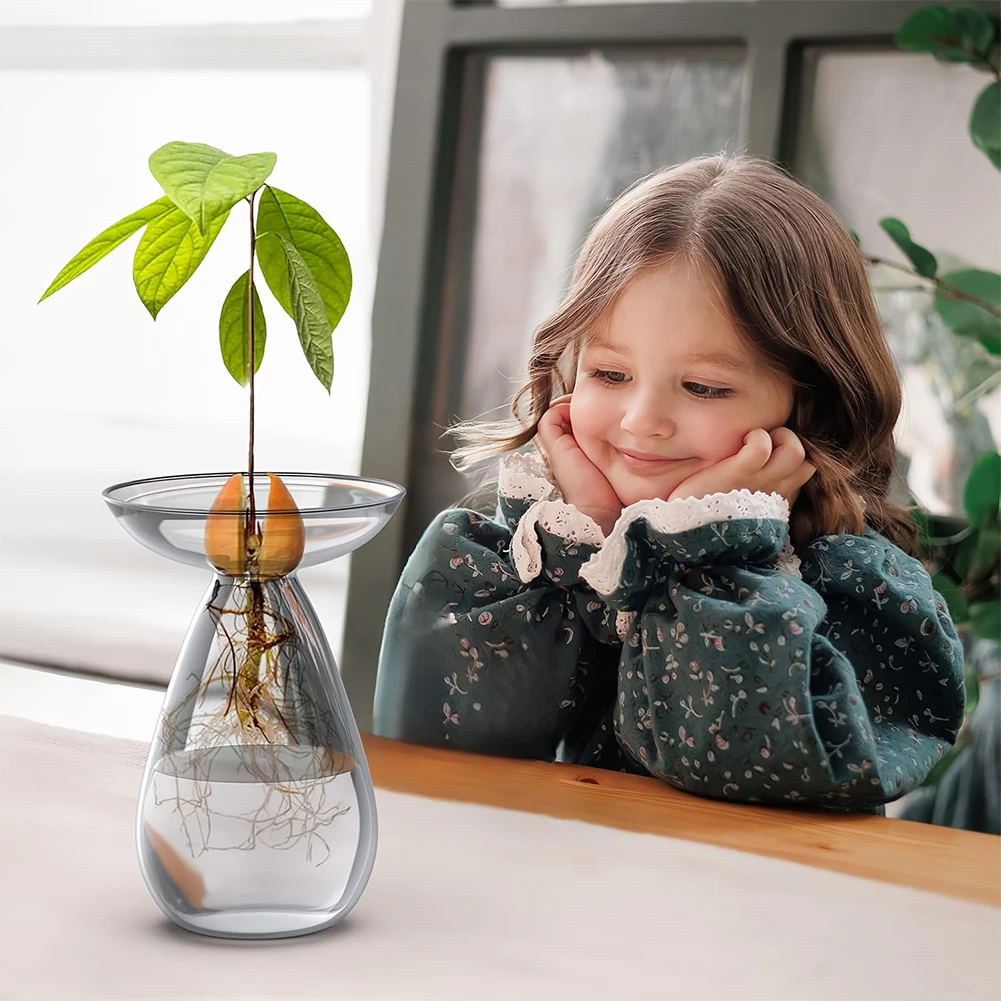 Avocado Seed Starter Vase Tran – обзор и цена Propagation Station Vase