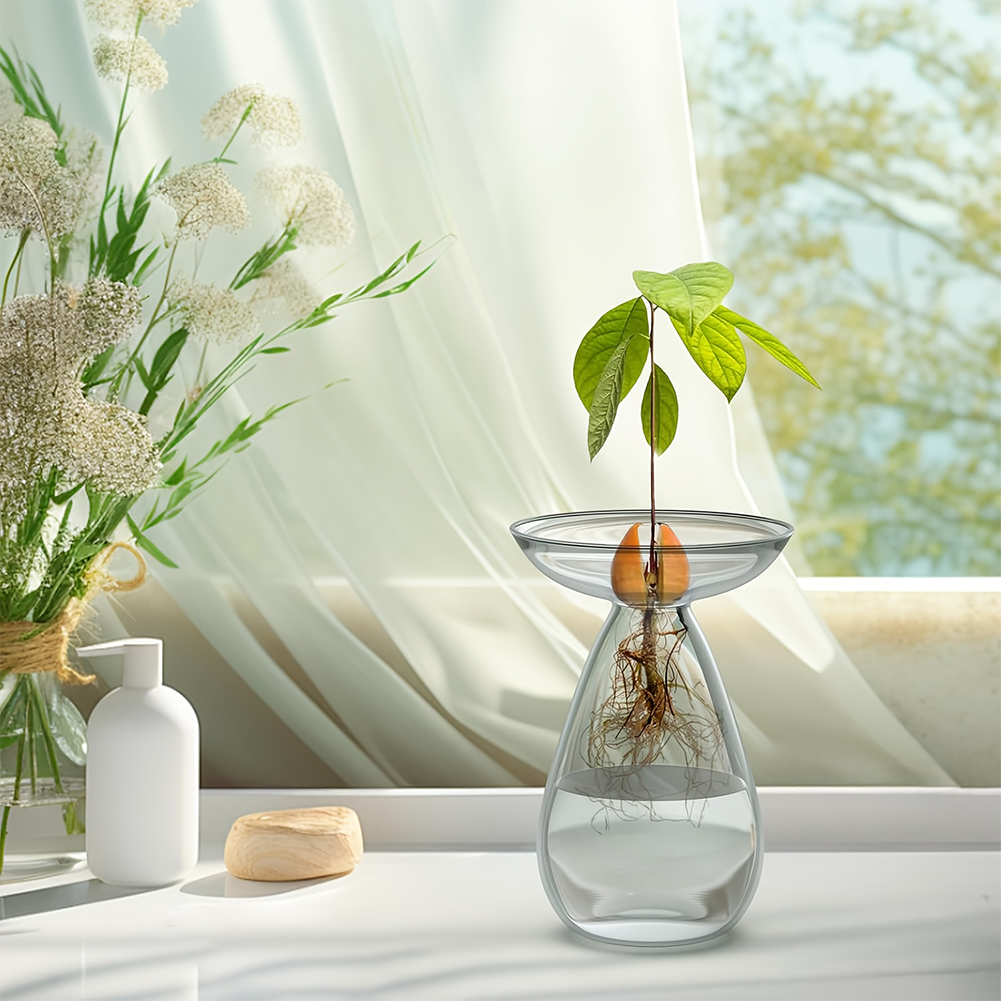 Avocado Seed Starter Vase Tran – обзор и цена Propagation Station Vase