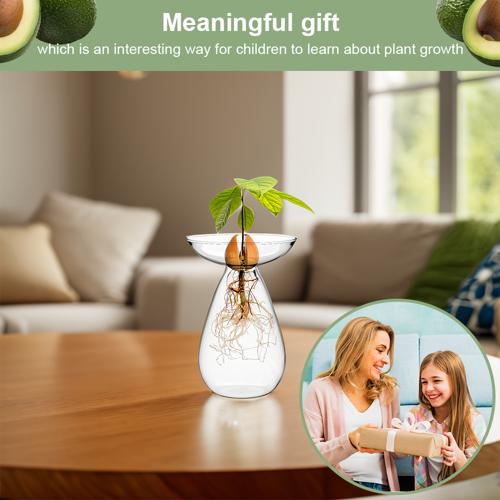 Avocado Seed Starter Vase Tran – обзор и цена Propagation Station Vase