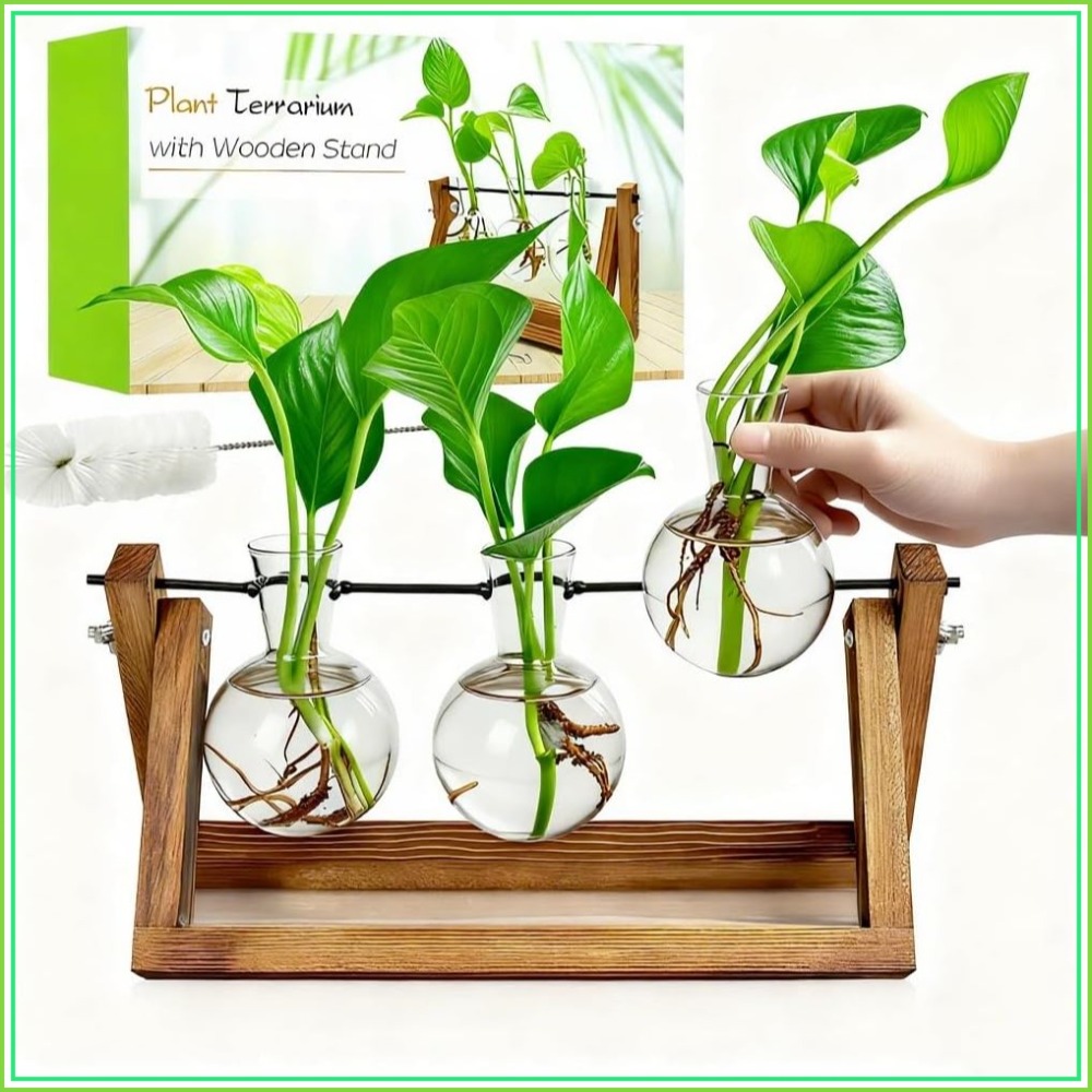 Plant Propagation Station with – обзор и цена Propagation Station Vase