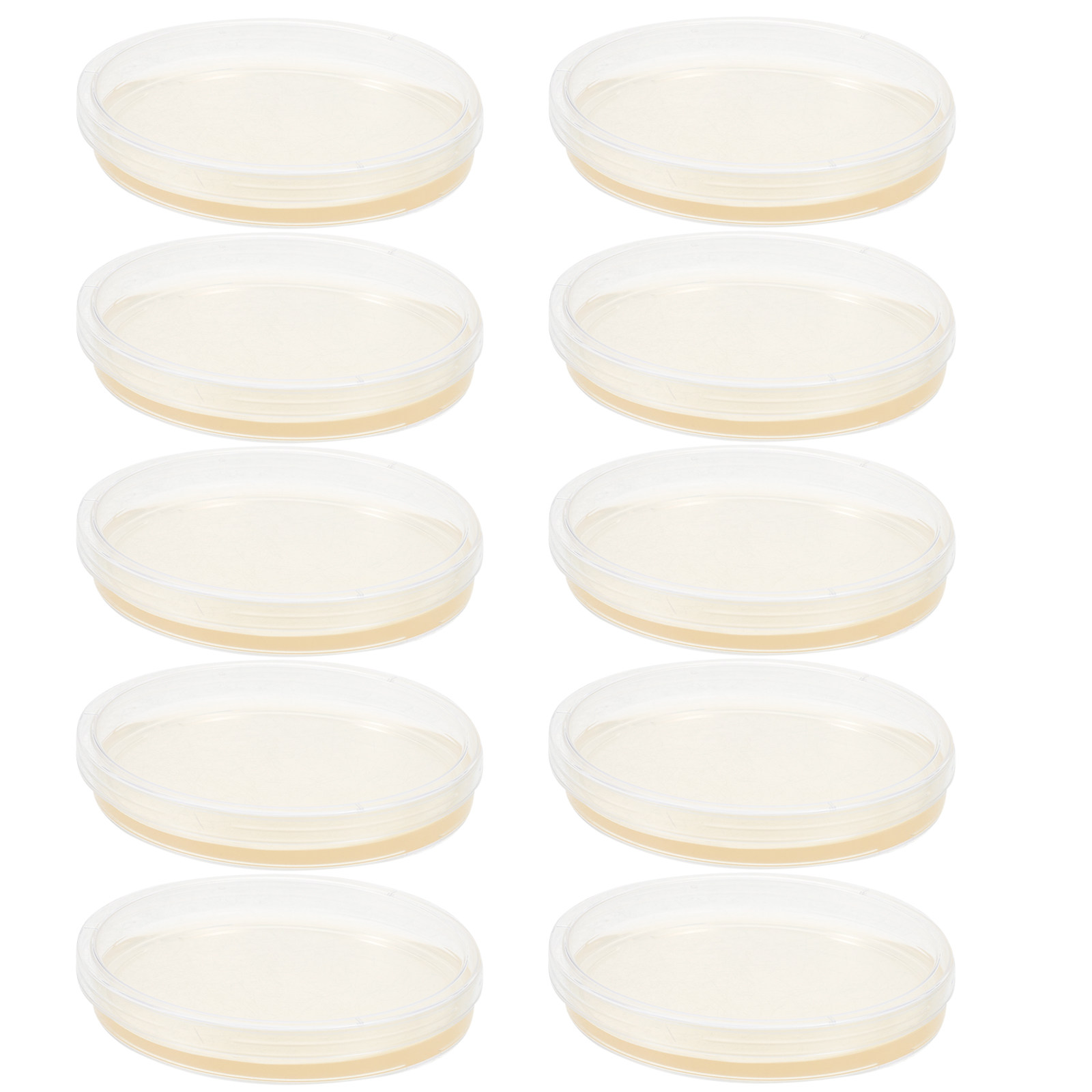 10Pcs Lb Agar Plates Portable  – обзор и цена Agar Tissue Culture