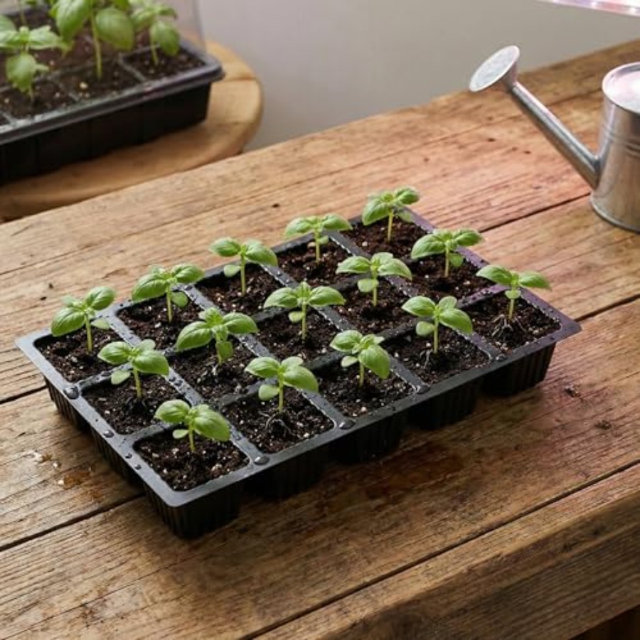 5-Set Seed Starter Tray Kits D – обзор и цена Humidity Dome Kit