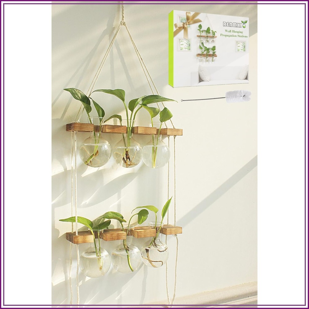Wall Hanging Plant Propagation – обзор и цена Propagation Station Vase