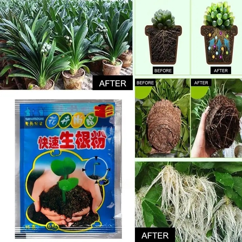 5pcs Fast Rooting Powder Plant – обзор и цена Rooting Hormone Powder