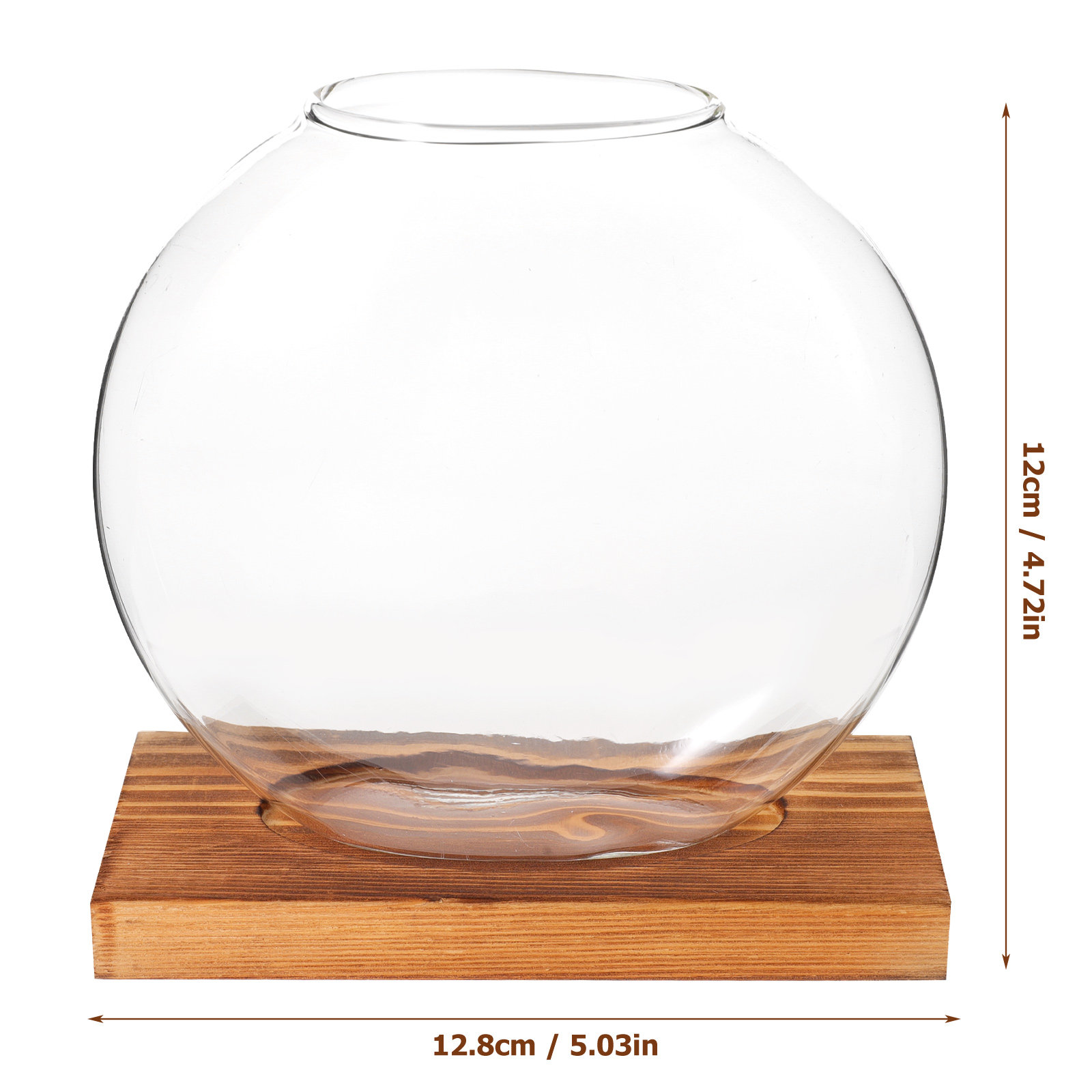 Glass Hydroponic Plant Vase wi – обзор и цена Propagation Station Vase